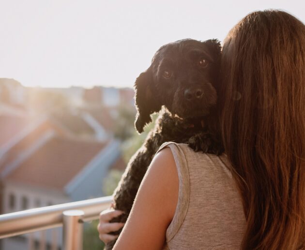A woman with long brown hair holding a black dog on a sunny balcony, overlooking a cityscape. The dog looks at the camera, highlighting the close bond and emotional support pets provide.